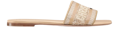 DIOR Dway Slide