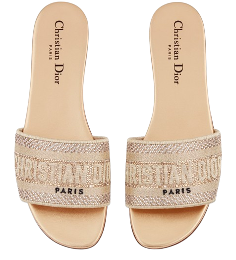 DIOR Dway Slide