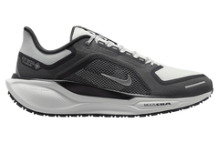 NIKE Pegasus 41 Gore-Tex 