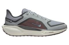 NIKE Pegasus 41 Gore-Tex 