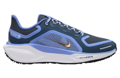 NIKE Pegasus 41 Gore-Tex 
