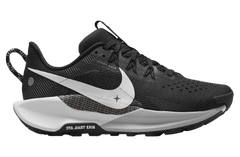 NIKE Pegasus Trail 5 
